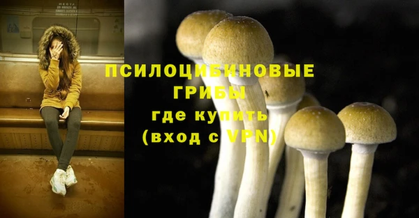 spice Липки