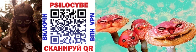 Псилоцибиновые грибы Psilocybine cubensis  darknet наркотические препараты  Снежинск 
